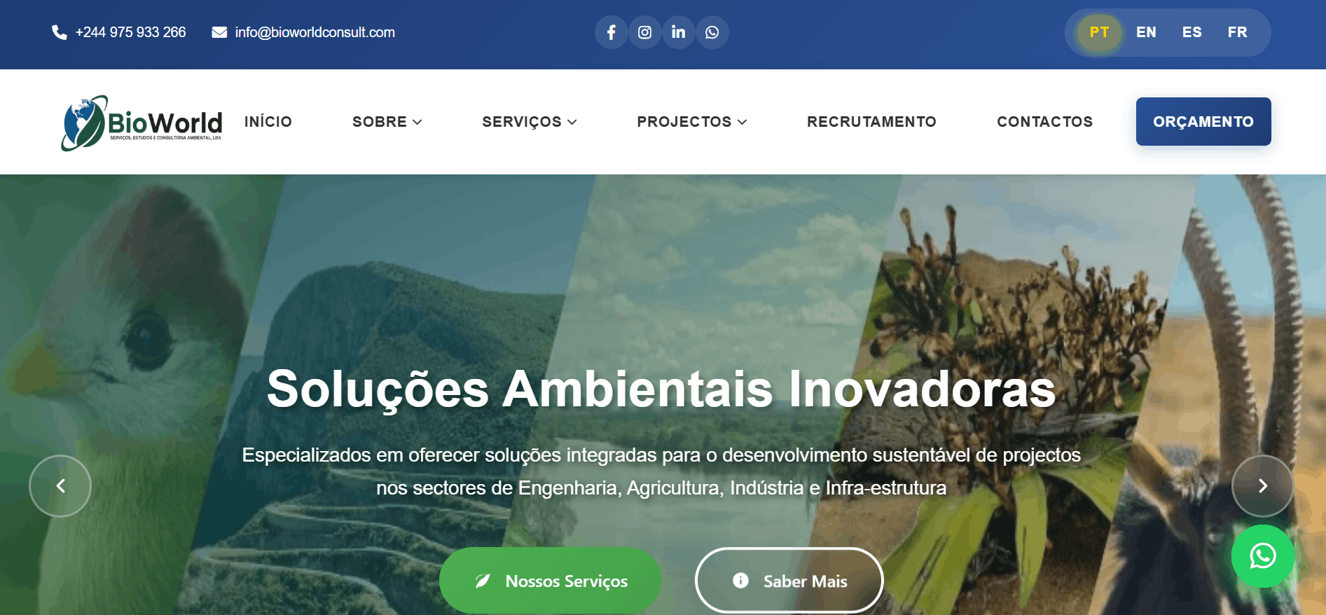 BioWorld Consult